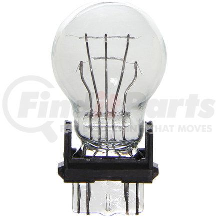 BP3157 by WAGNER - Wagner Lighting BP3157 Standard Multi-Purpose Light Bulb Card of 2