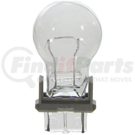 BP3456LL by WAGNER - Wagner Lighting BP3456LL Long Life Multi-Purpose Light Bulb Card of 2