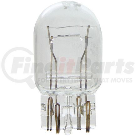 BP7443 by WAGNER - Wagner Lighting BP7443 Standard Multi-Purpose Light Bulb Card of 1