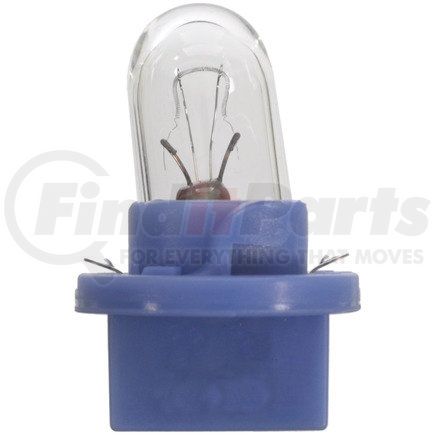 BPPC168 by WAGNER - Wagner Lighting BPPC168 Standard Multi-Purpose Light Bulb Card of 2