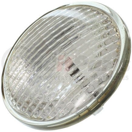 H7606 by WAGNER - Wagner Lighting H7606 Standard Multi-Purpose Light Bulb Box of 1