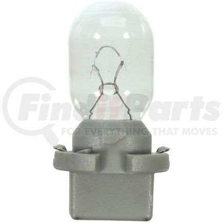 PC579 by WAGNER - Wagner Lighting PC579 Standard Multi-Purpose Light Bulb Box of 10