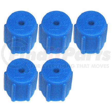 CP-653TK5 by SUNAIR - A/C Service Valve Cap