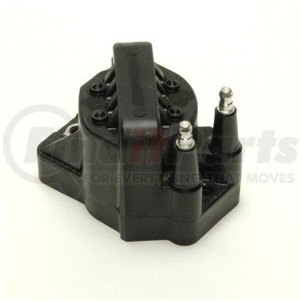 GN10123 by DELPHI - Ignition Coil - DIS Coil, 12V, 2 Female Blade Terminals
