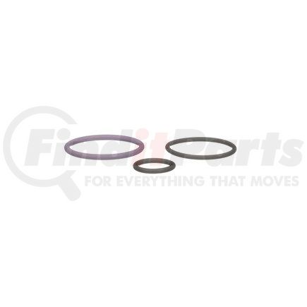HTK132 by DELPHI - Fuel Injection Nozzle O-Ring Kit