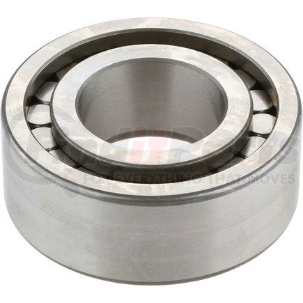 390HD100 by DANA - Differential Bearing