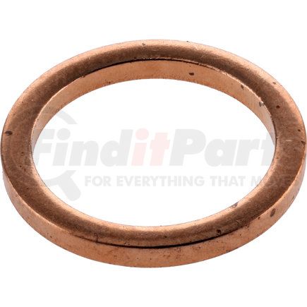 673609 by DANA - Axle Nut Washer - 0.48-0.49 in. ID, 0.59-0.60 in. Major OD, 0.04-0.06 in. Overall Thickness