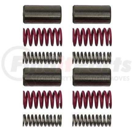 1038350KAS by POWERTRAX - Powertrax - Spring And Pin Kit