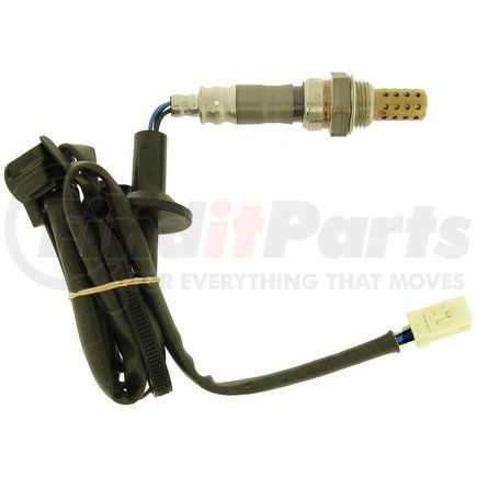 24841 by NGK SPARK PLUGS - OE Type Oxy Sensor