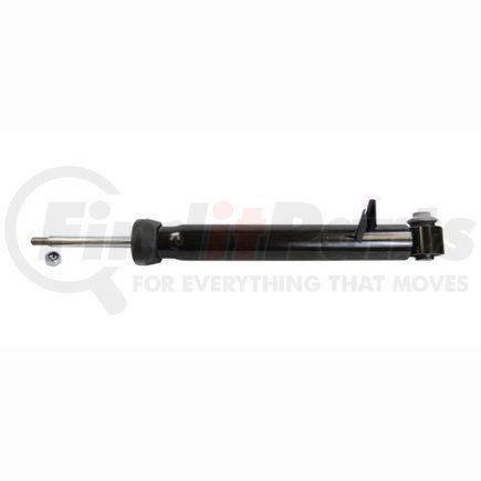 AMS5517 by NAVISTAR - OE Spectrum Passenger Car Shock Absorber