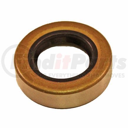 BCA NS203005 Multi-Purpose Seal Grease/Oil Multi-purpose Seal