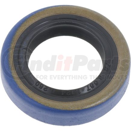 BCA NS471529 Multi-Purpose Seal Grease/Oil Multi-purpose Seal