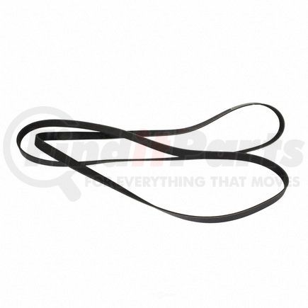 JK61084 by MOTORCRAFT - Serpentine Belt MOTORCRAFT JK6-1084