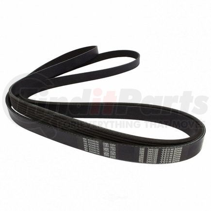 JK6-1141 by MOTORCRAFT - V-BELT