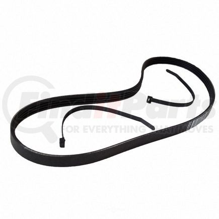 JK4-377AA by MOTORCRAFT - V-BELT