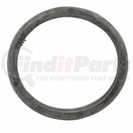 RG558 by MOTORCRAFT - WATER OL GASK