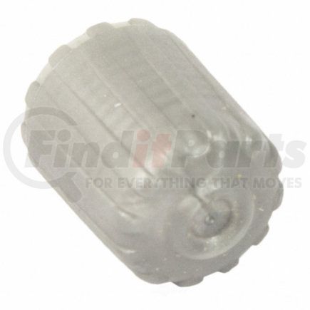 TPMS17 by MOTORCRAFT - CAP - VALVE (P)