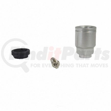 TPMS16 by MOTORCRAFT - VALVE ASY