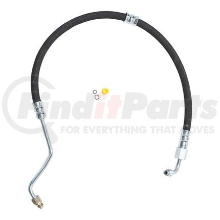 70443 by PLEWS - PS Hose