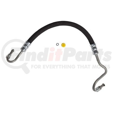 71035 by PLEWS - PS Hose