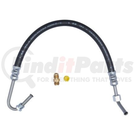 71058 by PLEWS - PS Hose