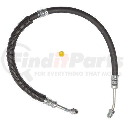 71081 by PLEWS - PS Hose