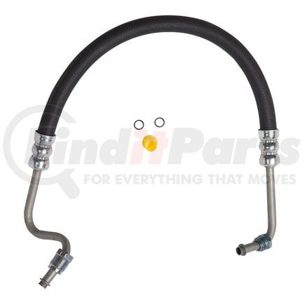 71086 by PLEWS - PS Hose