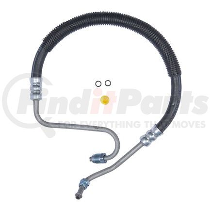 71089 by PLEWS - PS Hose