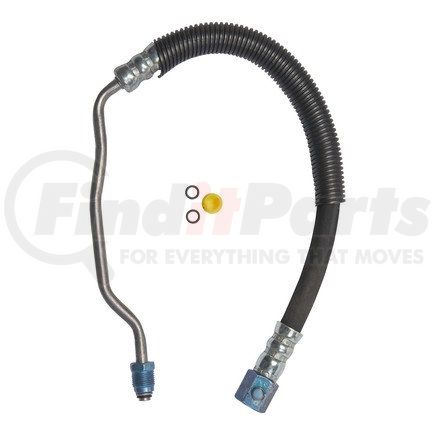 71271 by PLEWS - PS Hose