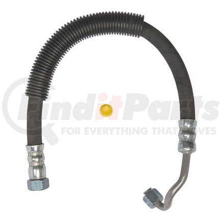 71448 by PLEWS - PS Hose