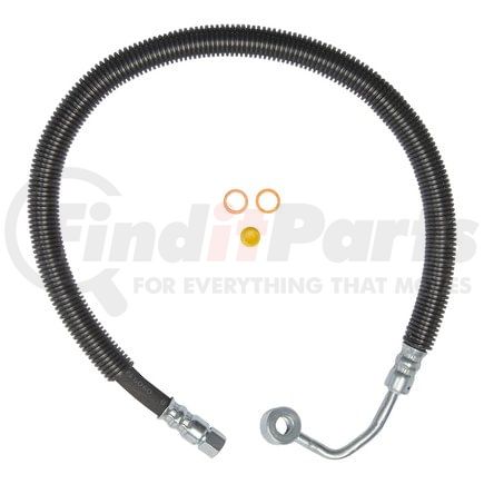 71550 by PLEWS - PS Hose