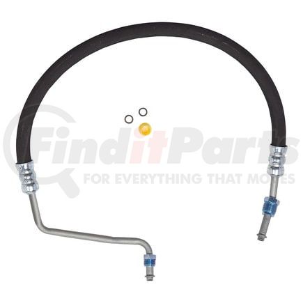 71799 by PLEWS - PS Hose