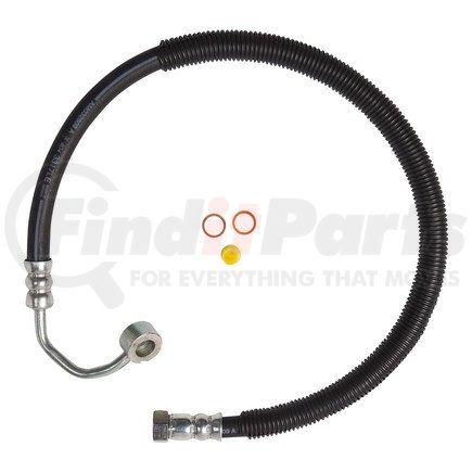 71809 by PLEWS - PS Hose