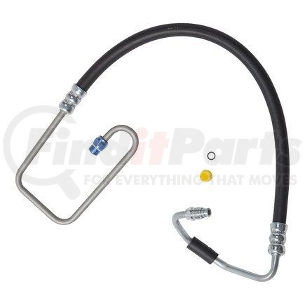 71838 by PLEWS - PS Hose