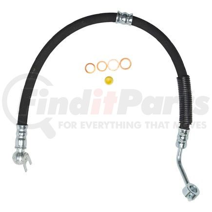 71875 by PLEWS - PS Hose