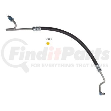 80071 by PLEWS - PS Hose