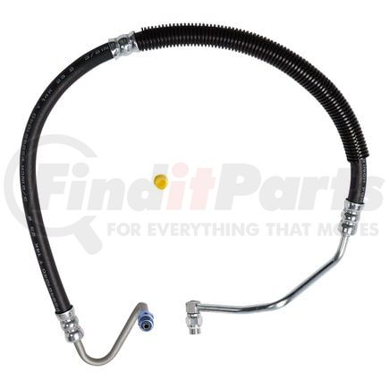 80080 by PLEWS - PS Hose