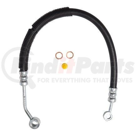 80098 by PLEWS - PS Hose