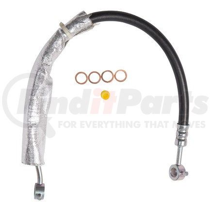 80100 by PLEWS - PS Hose