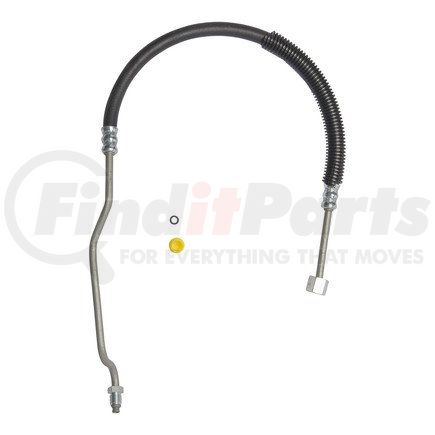80029 by PLEWS - PS Hose