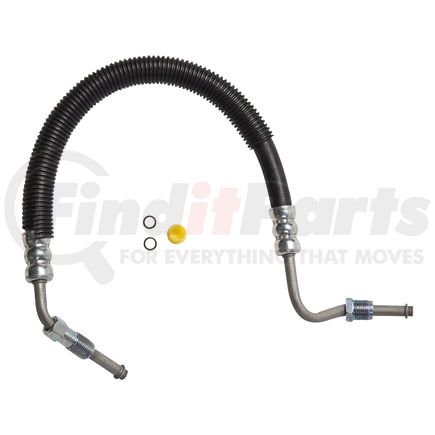 80040 by PLEWS - PS Hose