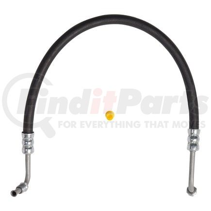 80115 by PLEWS - PS Hose