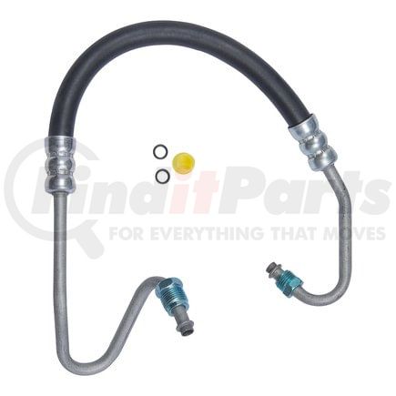80140 by PLEWS - PS Hose