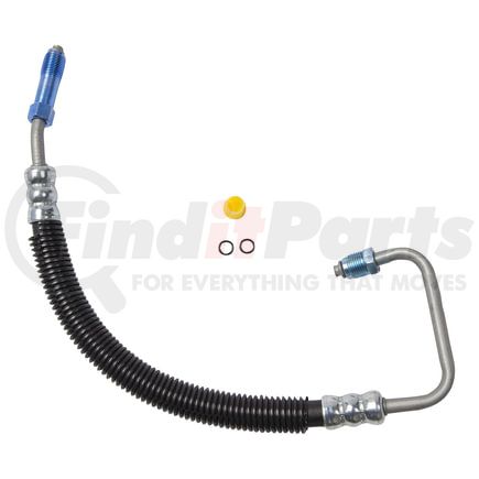 80230 by PLEWS - PS Hose