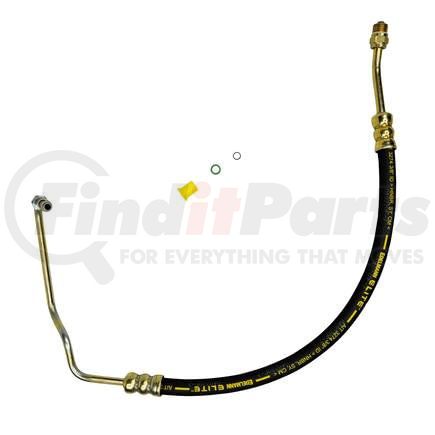 80236E by PLEWS - PS Hose