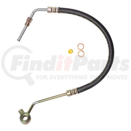 80270 by PLEWS - PS Hose