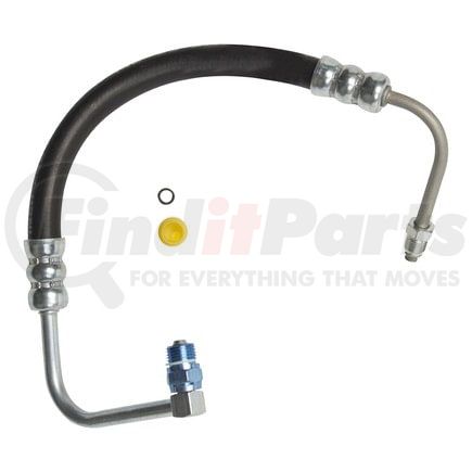 80321 by PLEWS - PS Hose