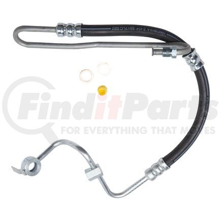 80397 by PLEWS - PS Hose