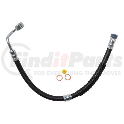 80469 by PLEWS - PS Hose