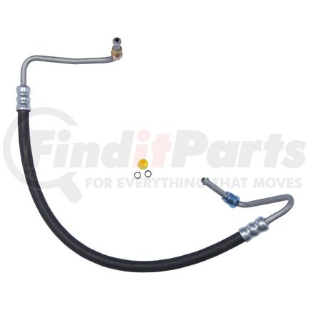 80696 by PLEWS - PS Hose